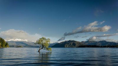 Dara by the Fireplace