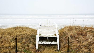 Kira in the Greenhouse
