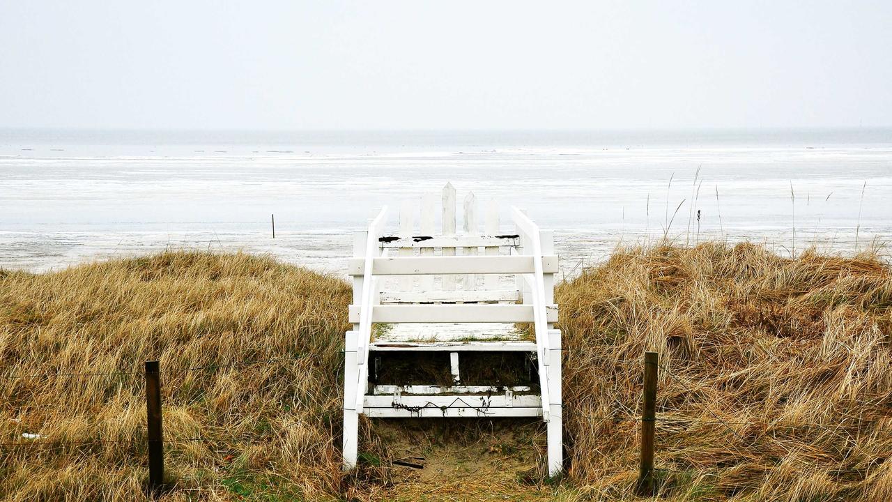 Kira in the Greenhouse