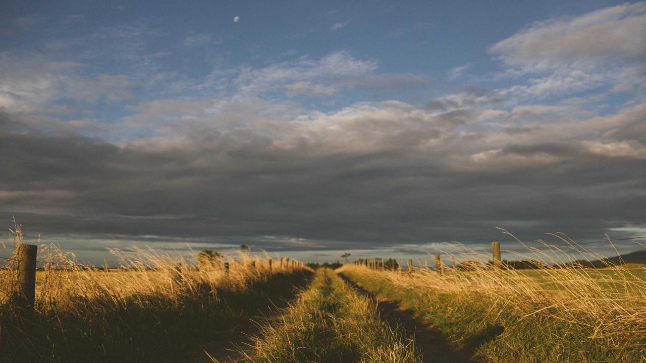 Quinn in the Kitchen