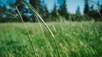 Tess in the Solarium