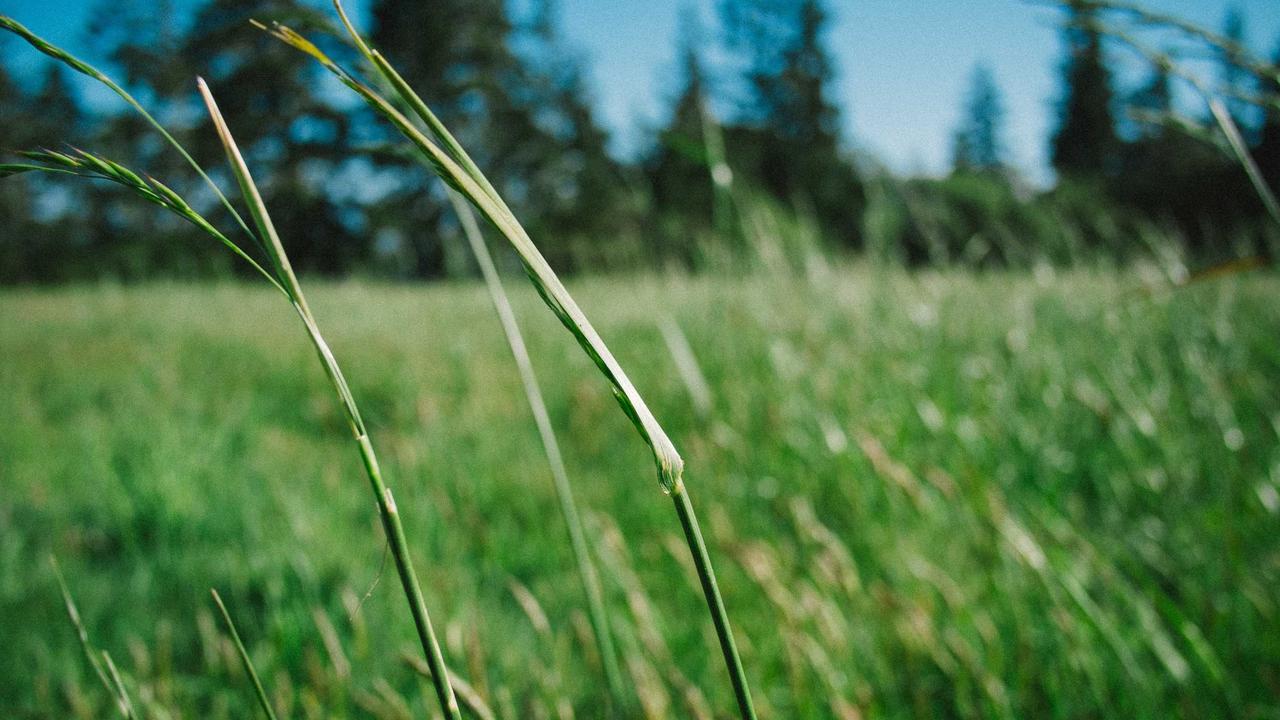 Tess in the Solarium