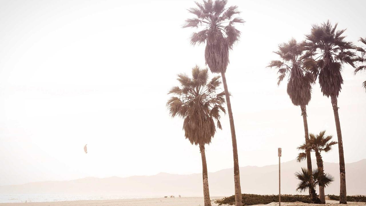 Wren at the Boutique